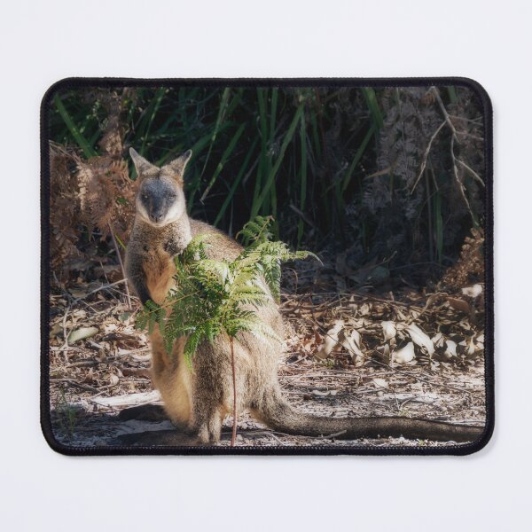 Item preview, Swamp Wallaby designed and sold by Rainphotography.
