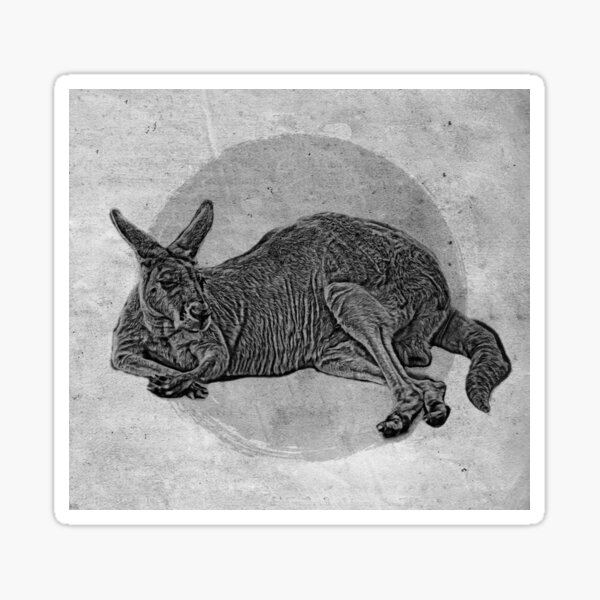 Item preview, The resting kangaroo designed and sold by CTD3SIGNS.