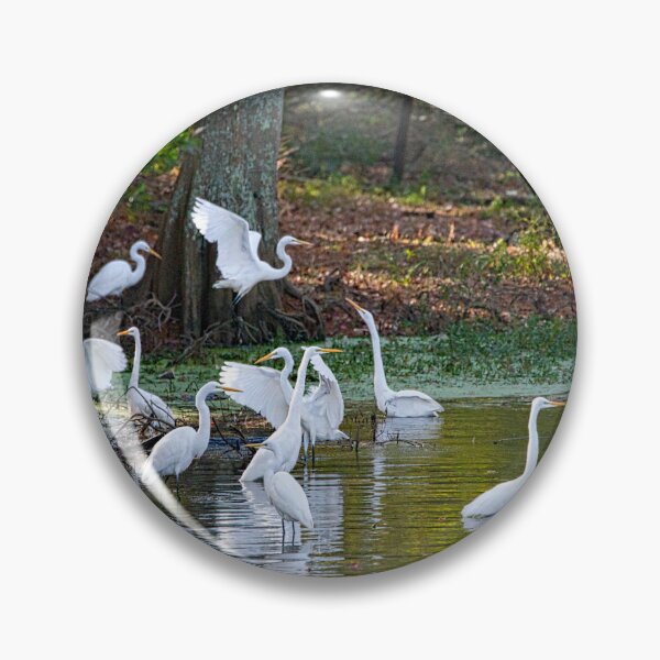 Item preview, Eleven Great Egrets Keeping the Peace designed and sold by ShorelineImages.