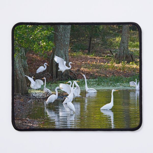 Item preview, Eleven Great Egrets Keeping the Peace designed and sold by ShorelineImages.