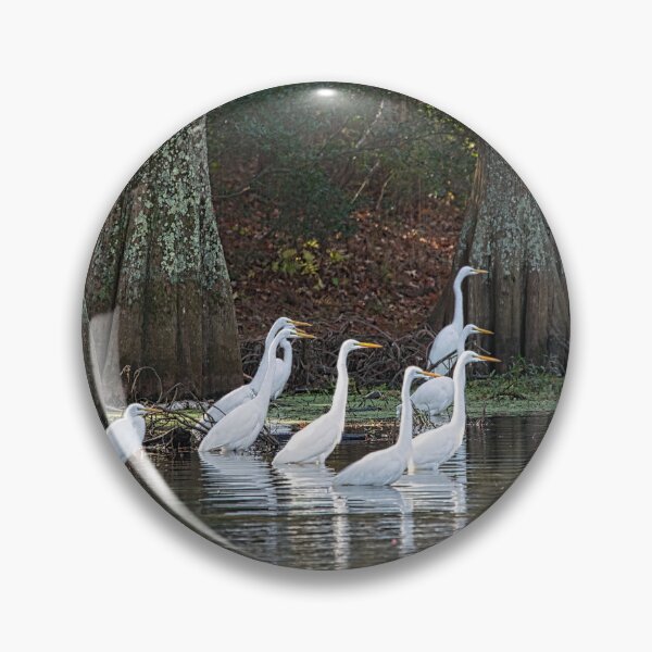 Item preview, Nine Great Egrets together for Prayer Meeting designed and sold by ShorelineImages.
