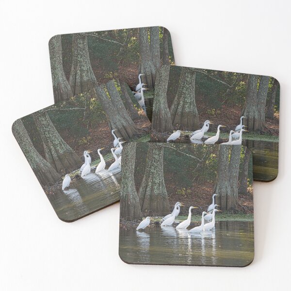 Item preview, Nine Great Egrets together for Prayer Meeting designed and sold by ShorelineImages.