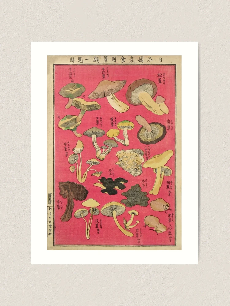 Chart of Edible Mushroom Types Vintage Japanese Woodblock Print