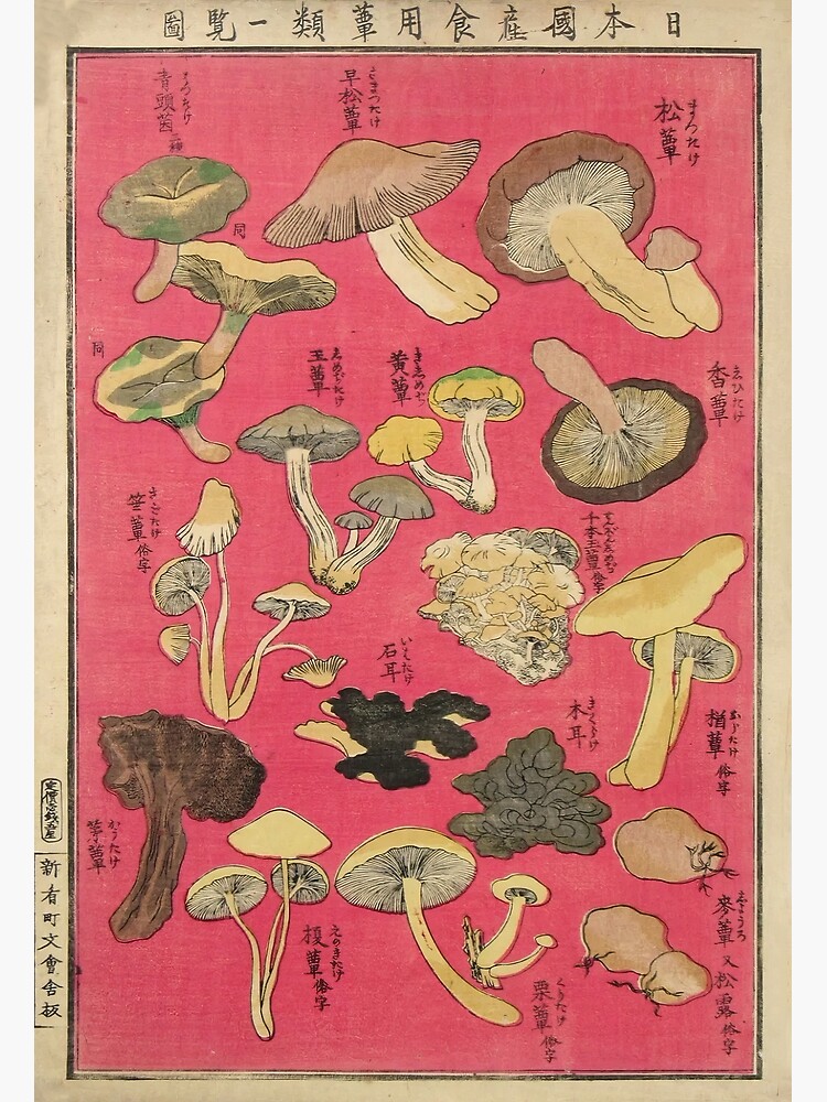 Chart Of Edible Mushroom Types Vintage Japanese Woodblock Print Premium ...