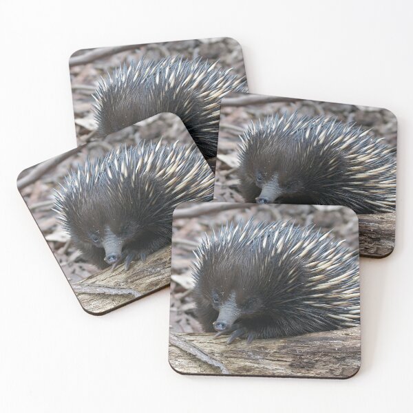 Item preview, Echidna designed and sold by Robert Elliott.