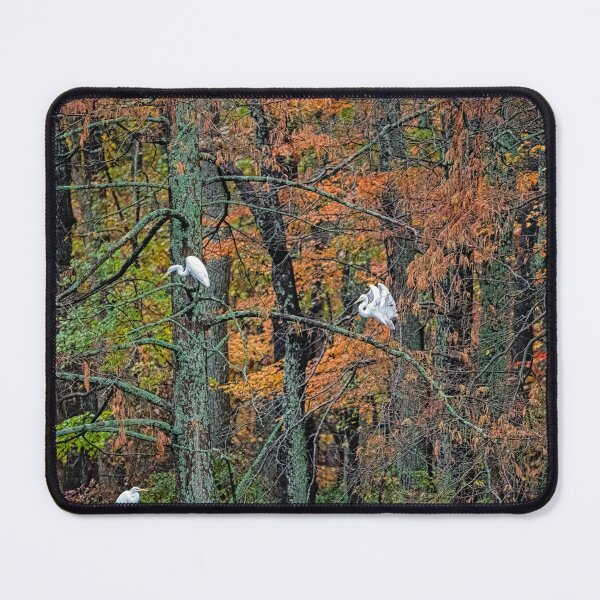 Item preview, Great Egret with Angel Wings in Tree designed and sold by ShorelineImages.