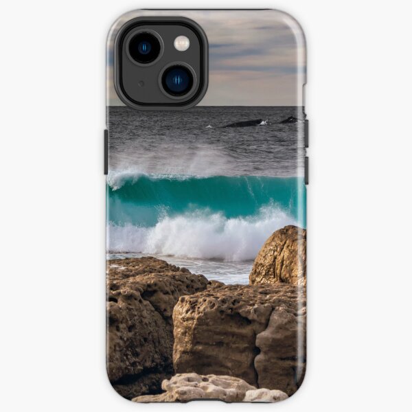 Moes Rock Whales iPhone Tough Case