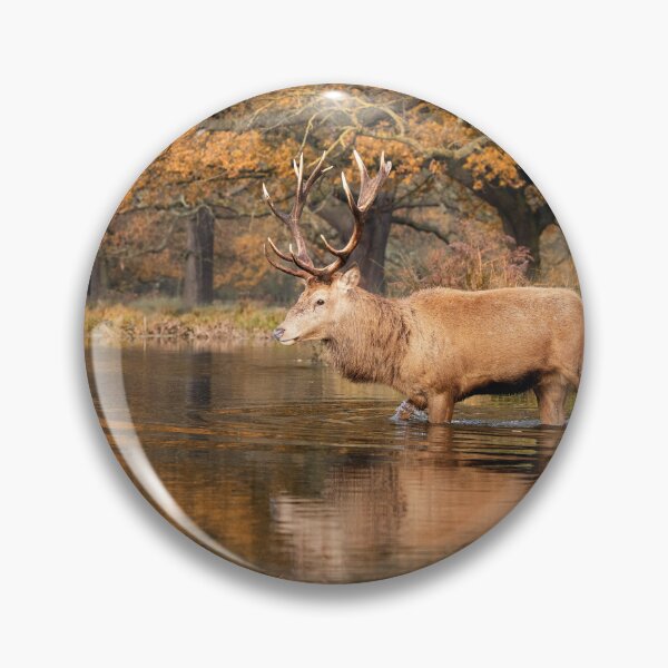Item preview, Rustic Stag Crossing designed and sold by Junkyardmax.