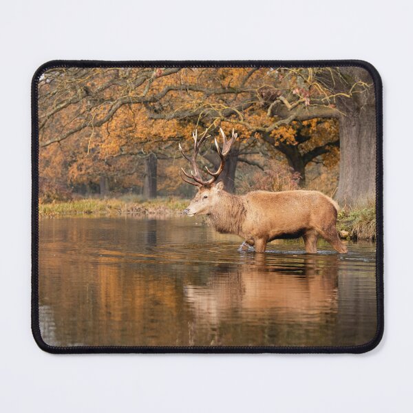 Item preview, Rustic Stag Crossing designed and sold by Junkyardmax.