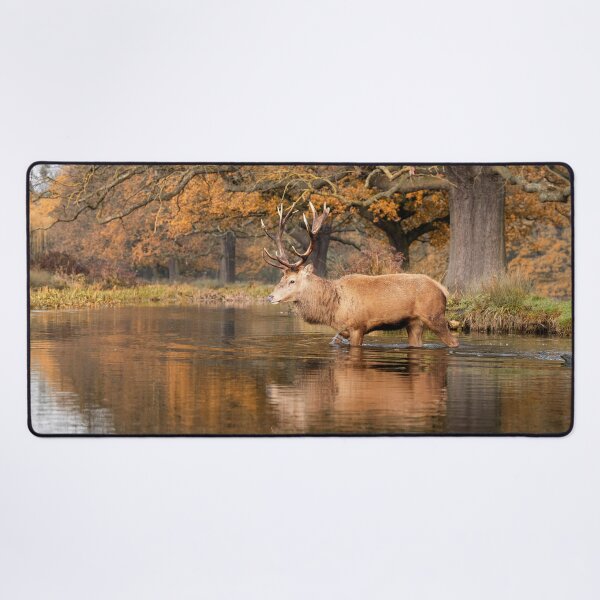 Item preview, Rustic Stag Crossing designed and sold by Junkyardmax.