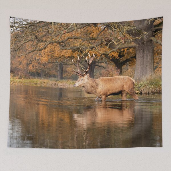 Item preview, Rustic Stag Crossing designed and sold by Junkyardmax.