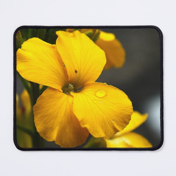 Item preview, Morning dew on flower petals designed and sold by alanoix.