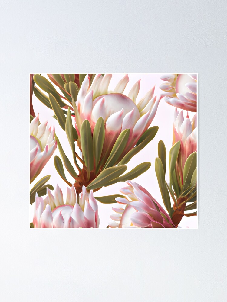 "Protea, Beautiful Exotic Protea South African " Poster for Sale by