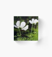 Breeze Acrylic Block