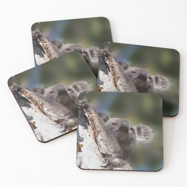 Item preview, Koala designed and sold by Robert Elliott.
