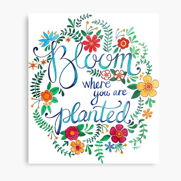 Bloom Where You Are Planted Wall Art Redbubble