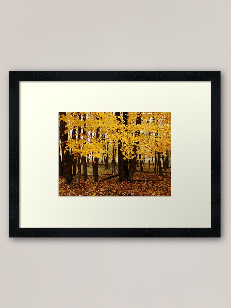 Alternate view of Second Spring Framed Art Print