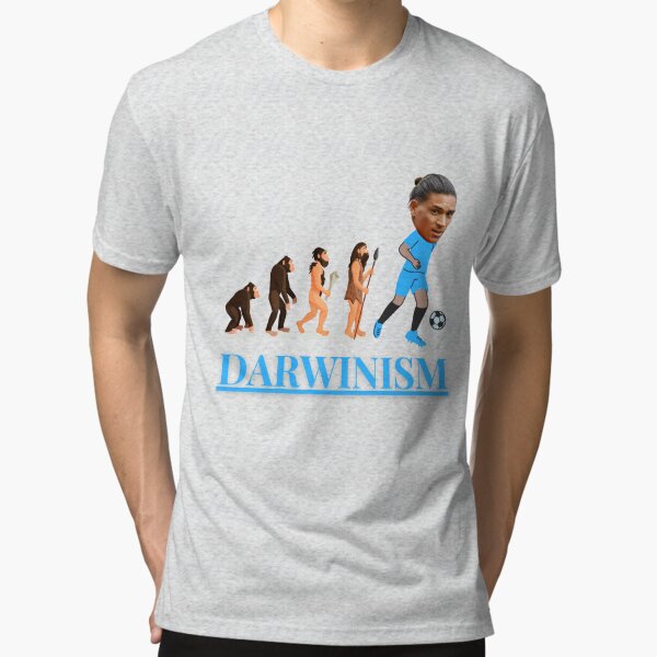 darwin football shirt template printable
