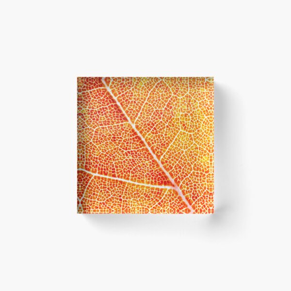 Item preview, Peach Cobbler designed and sold by Stephen Carmickle.