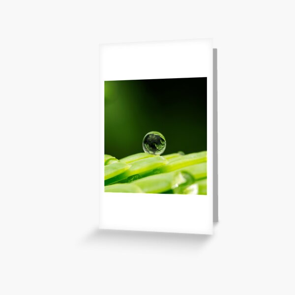 Rainy Days Aren't So Bad Greeting Card