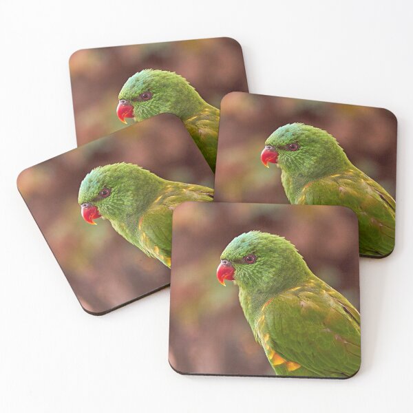 Item preview, Scaly-breasted Lorikeet  designed and sold by Robert Elliott.