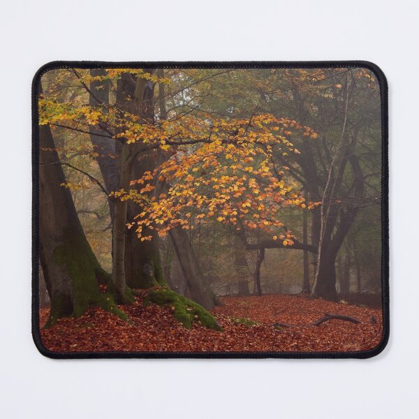 Item preview, Autumn Glory Beech Tree designed and sold by AnitaLynne.