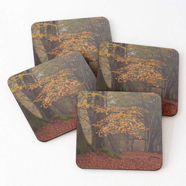 Item preview, Autumn Glory Beech Tree designed and sold by AnitaLynne.