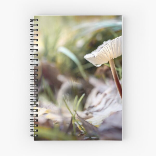 Item preview, Poisonous mushrooms in the autumn forest designed and sold by Olimpia Negura.