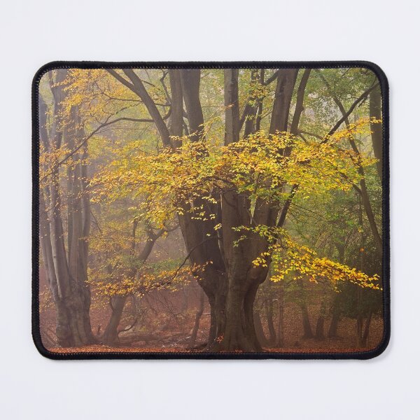 Item preview, Autumn Beech Tree designed and sold by AnitaLynne.
