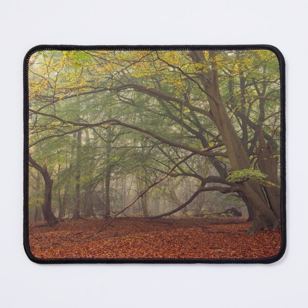 Item preview, Misty Autumn Woodland Scene designed and sold by AnitaLynne.