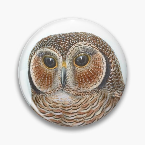 Item preview, Mottled Wood-Owl, 1800s Vintage Bird Art by John Gould and H.C. Richter designed and sold by VintageRestored.