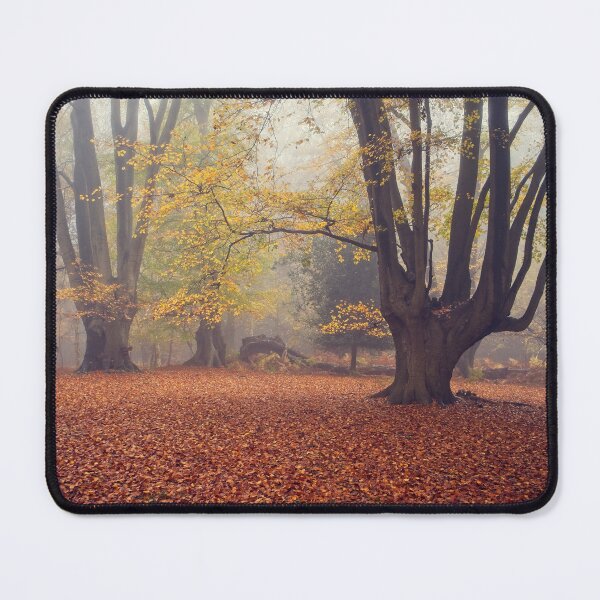 Item preview, Beech Trees in Autumn designed and sold by AnitaLynne.