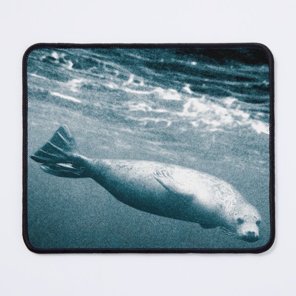 Item preview, Seal Below the Surf designed and sold by ernest123.