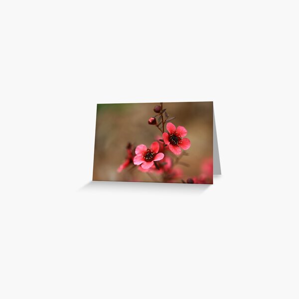 As Is Greeting Card