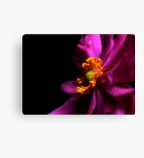 Emptiness Canvas Print