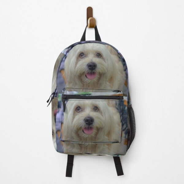 Item preview, PET DOG designed and sold by likbatonboot.