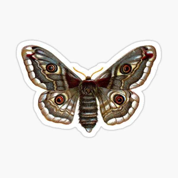 Item preview, Moth 1.A designed and sold by fictivefair.