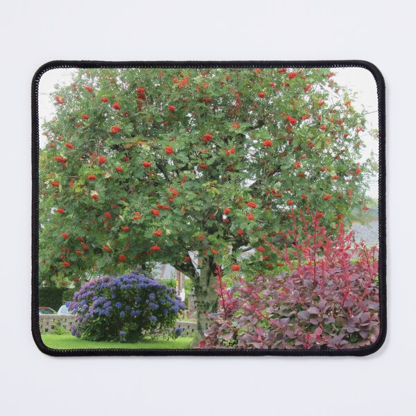 Item preview, Rowan Tree designed and sold by lezvee.