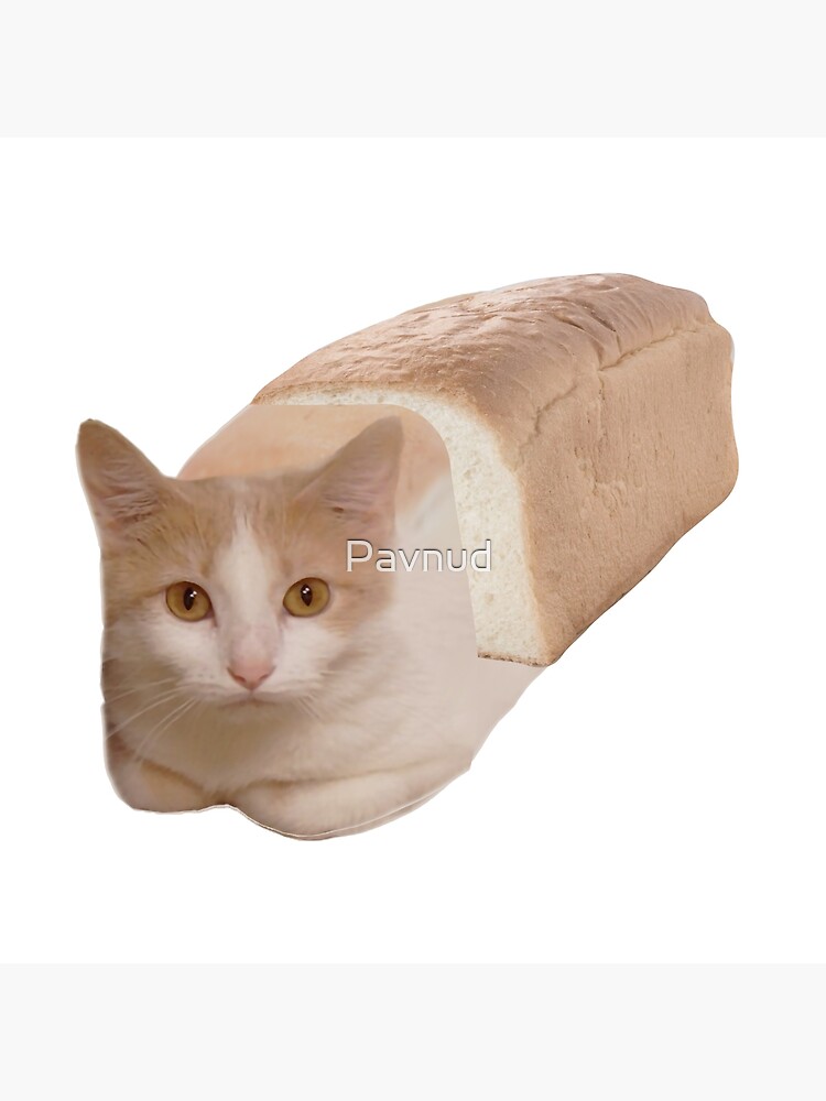 Bread cat hot sale