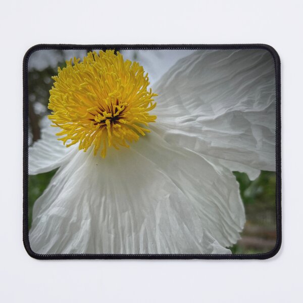 Item preview, Summer Flowers designed and sold by lpollaro.