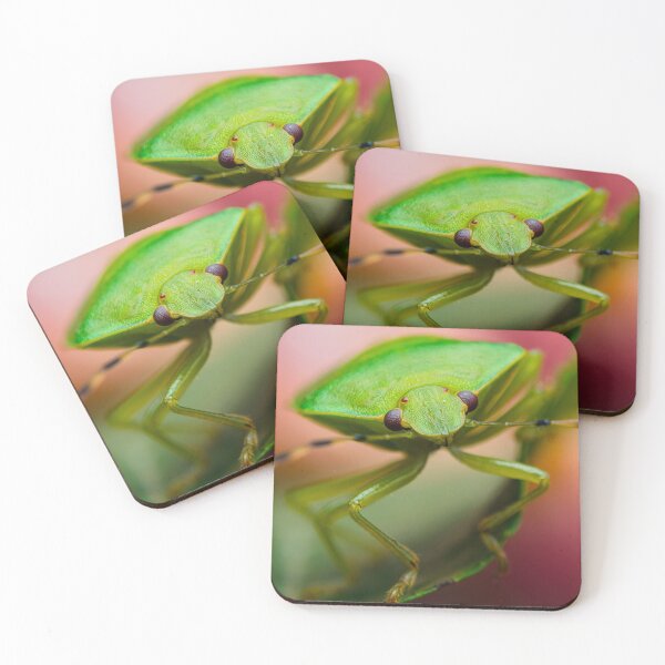 Item preview, Chinche apestosa verde - Chinavia hilaris designed and sold by AronsTinySafari.