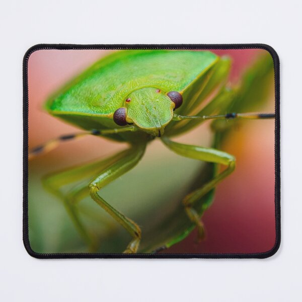 Item preview, Green Stink Bug - Chinavia hilaris designed and sold by AronsTinySafari.