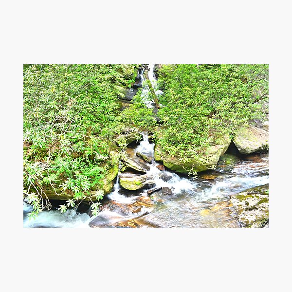 Item preview, At The Bottom Of Dukes Creek Falls designed and sold by LisaWootenPhoto.