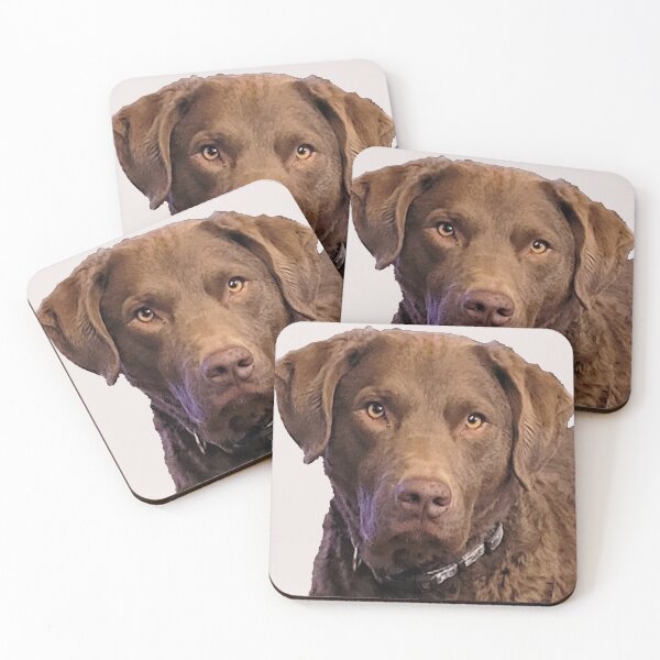 Item preview, Radar Chesapeake Bay Retriever designed and sold by Rodney55.