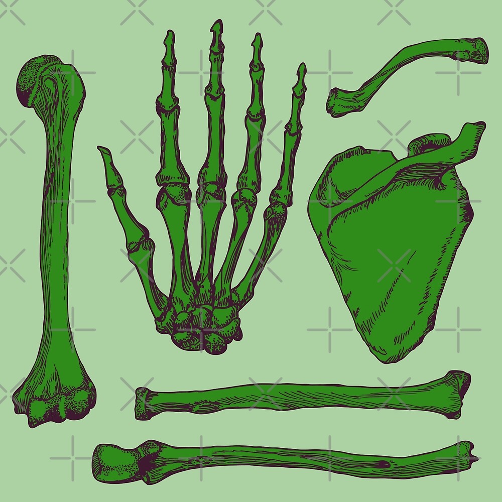 hand-bones-by-federica-alaimo-redbubble