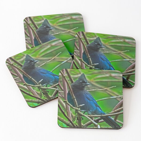 Item preview, Stellars Mountain Blue Jay designed and sold by Rodney55.