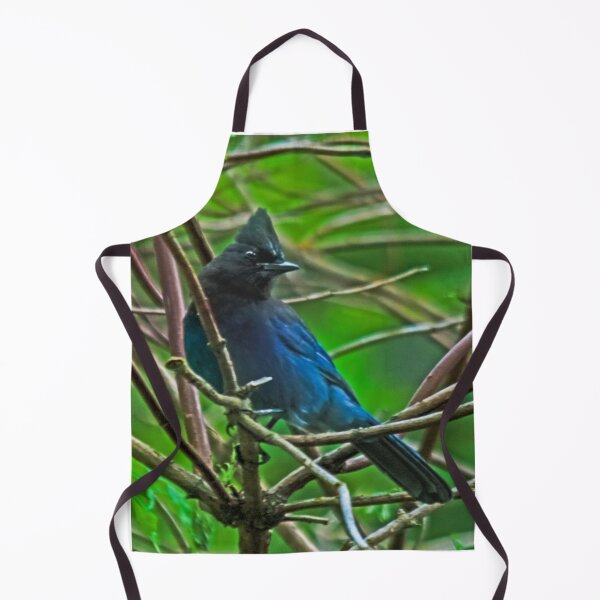 Item preview, Stellars Mountain Blue Jay designed and sold by Rodney55.