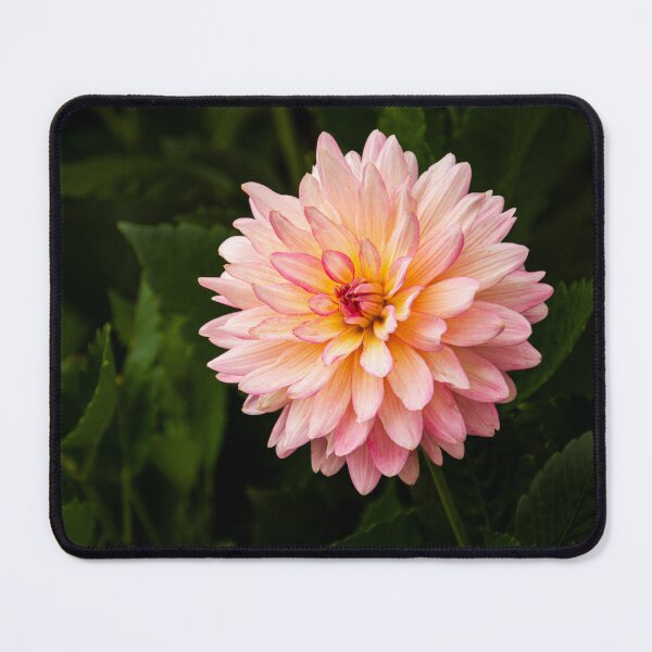 Item preview, Full Bloom designed and sold by TTDean.