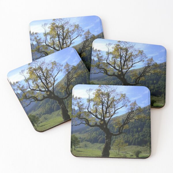 Item preview, Maple Tree designed and sold by angel1.