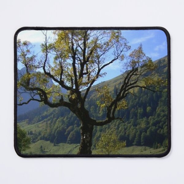 Item preview, Maple Tree designed and sold by angel1.